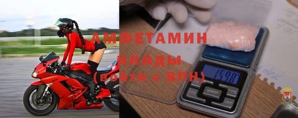 индика Покров