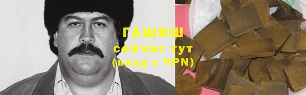 гидра Алексин