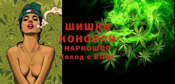 гидра Покачи