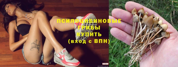 индика Покров