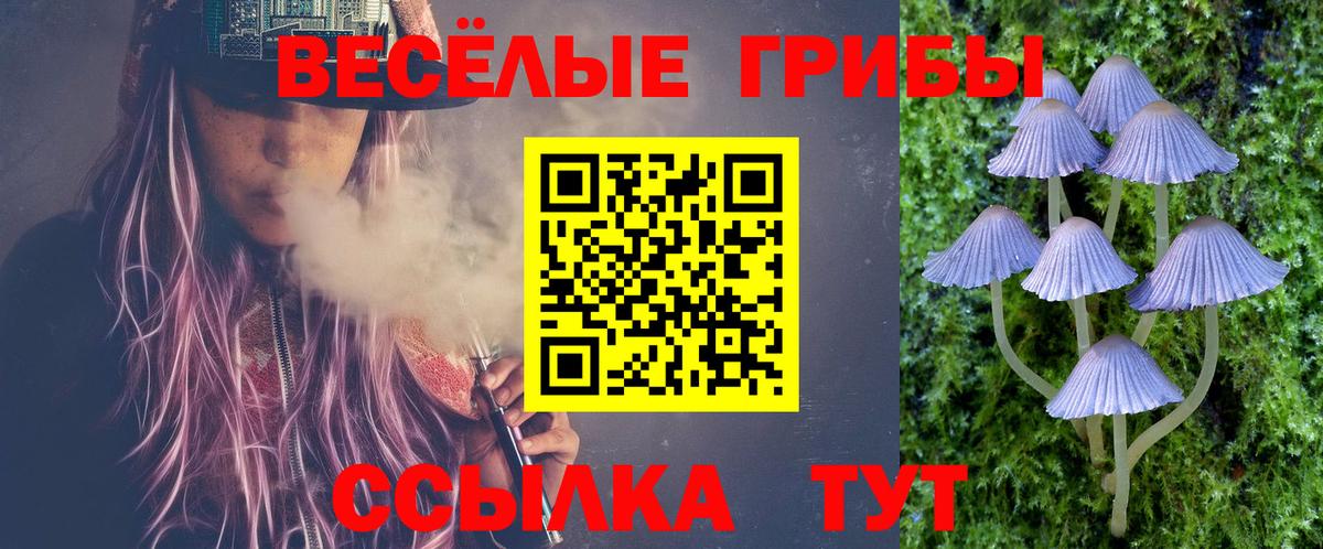 где купить наркотик  Вход с VPN  Ленинск-Кузнецкий  Галлюциногенные грибы Psilocybe 
